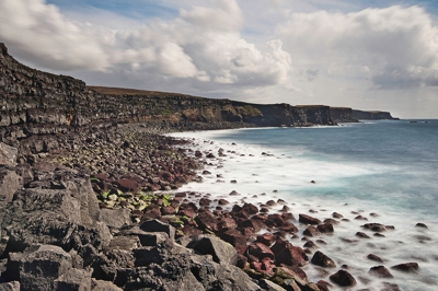 Krisuvikurberg Cliffs — Iceland birds
